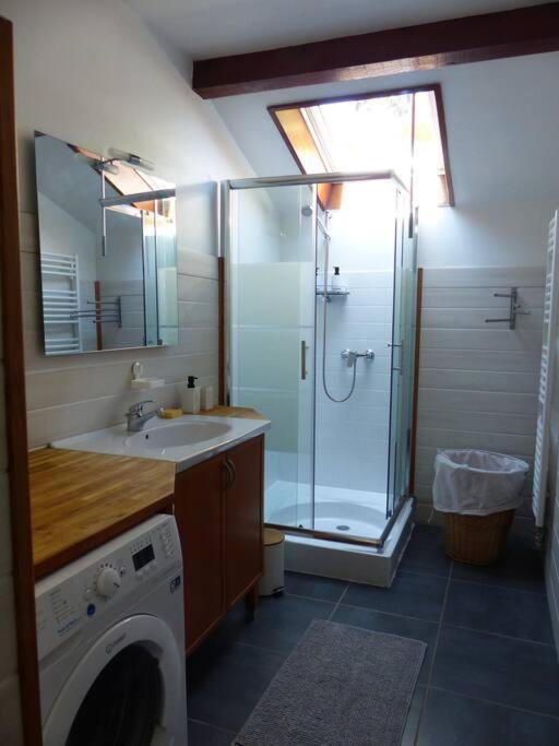 Appartement Dans Maison Brié-et-Angonnes Esterno foto